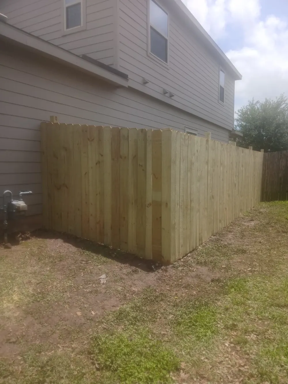 New pine picket privacy fence beside a two-storey house